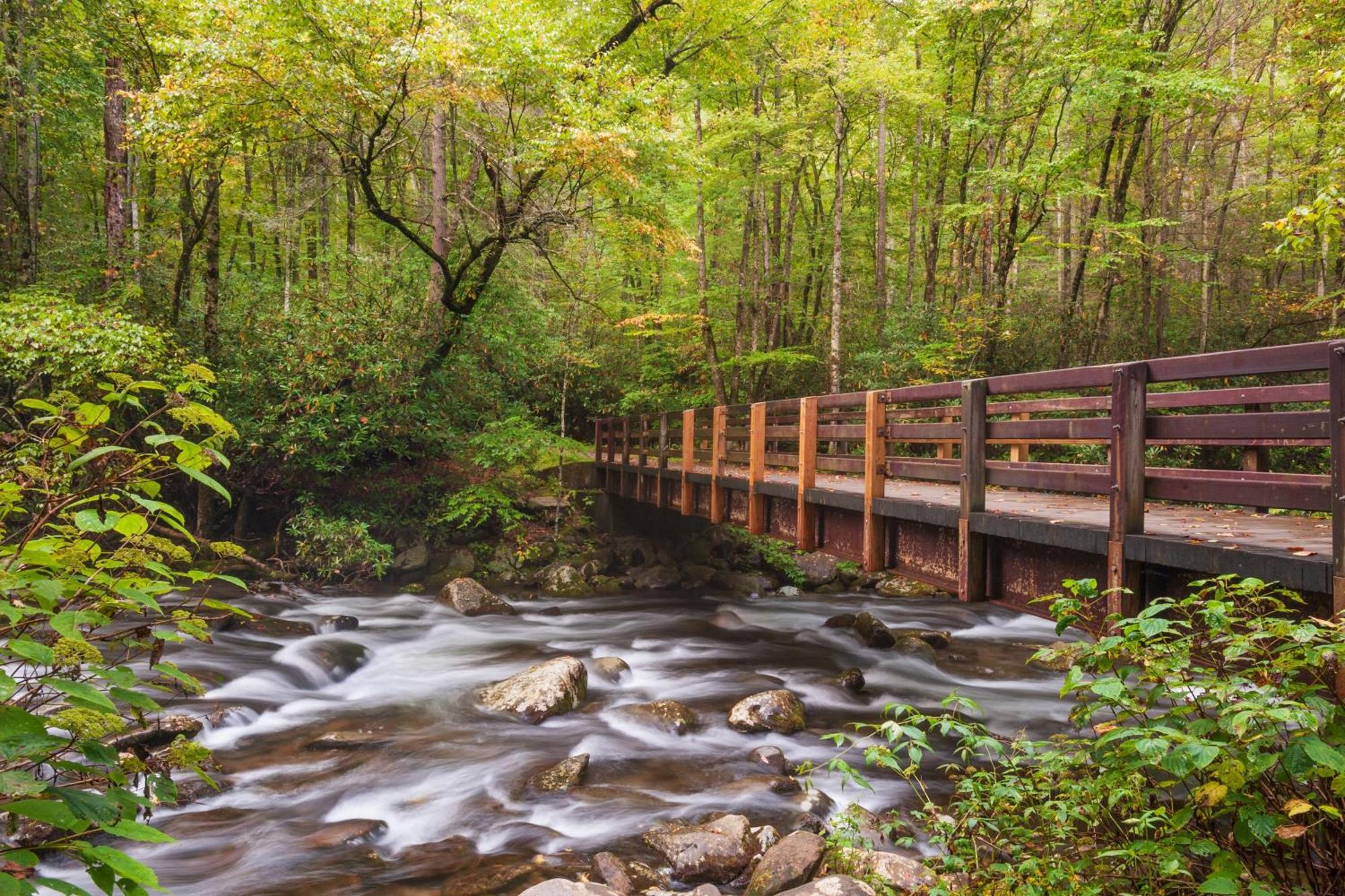 Maple Trails, Wifi, 1089 Free Tickets Each Paid Day, Dollywood And More Gatlinburg Exterior foto